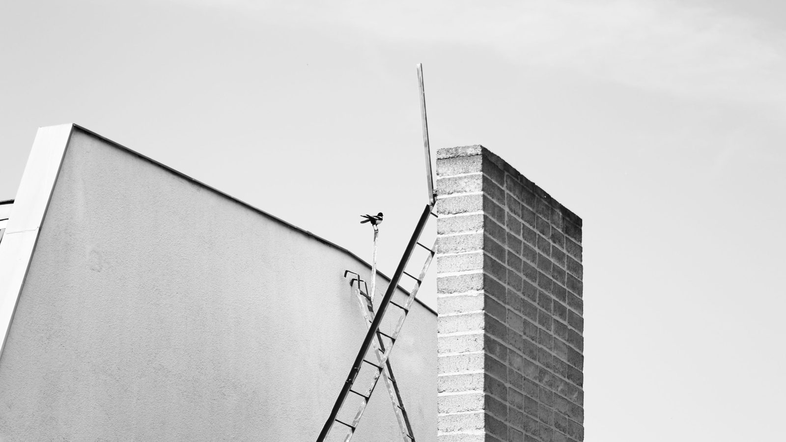 Meisterbetrieb seit 1998